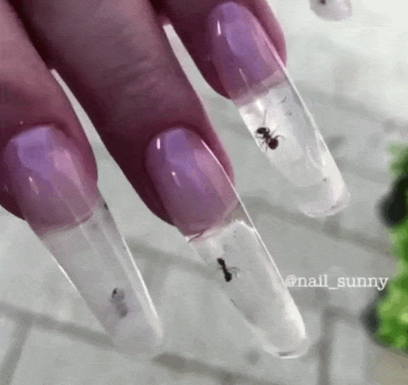 Bizarre Beauty Trends: The Ant Manicure 1