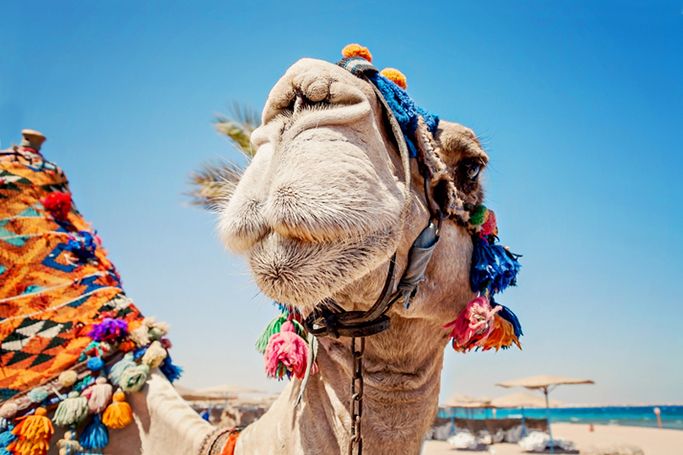 Things To Do In Dubai: March Edition 