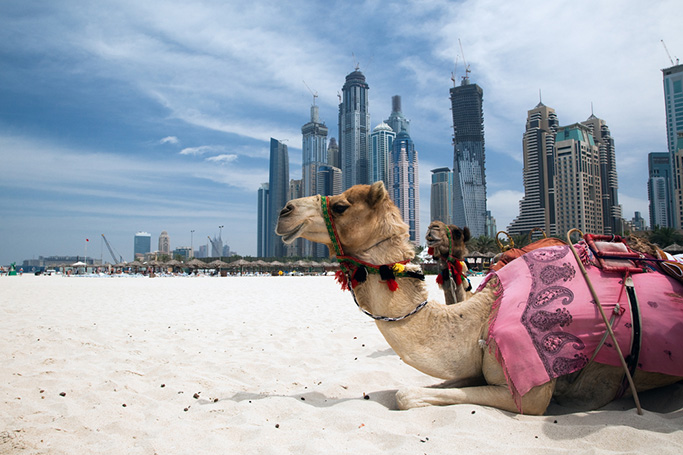 Things To Do In Dubai: October Edition 