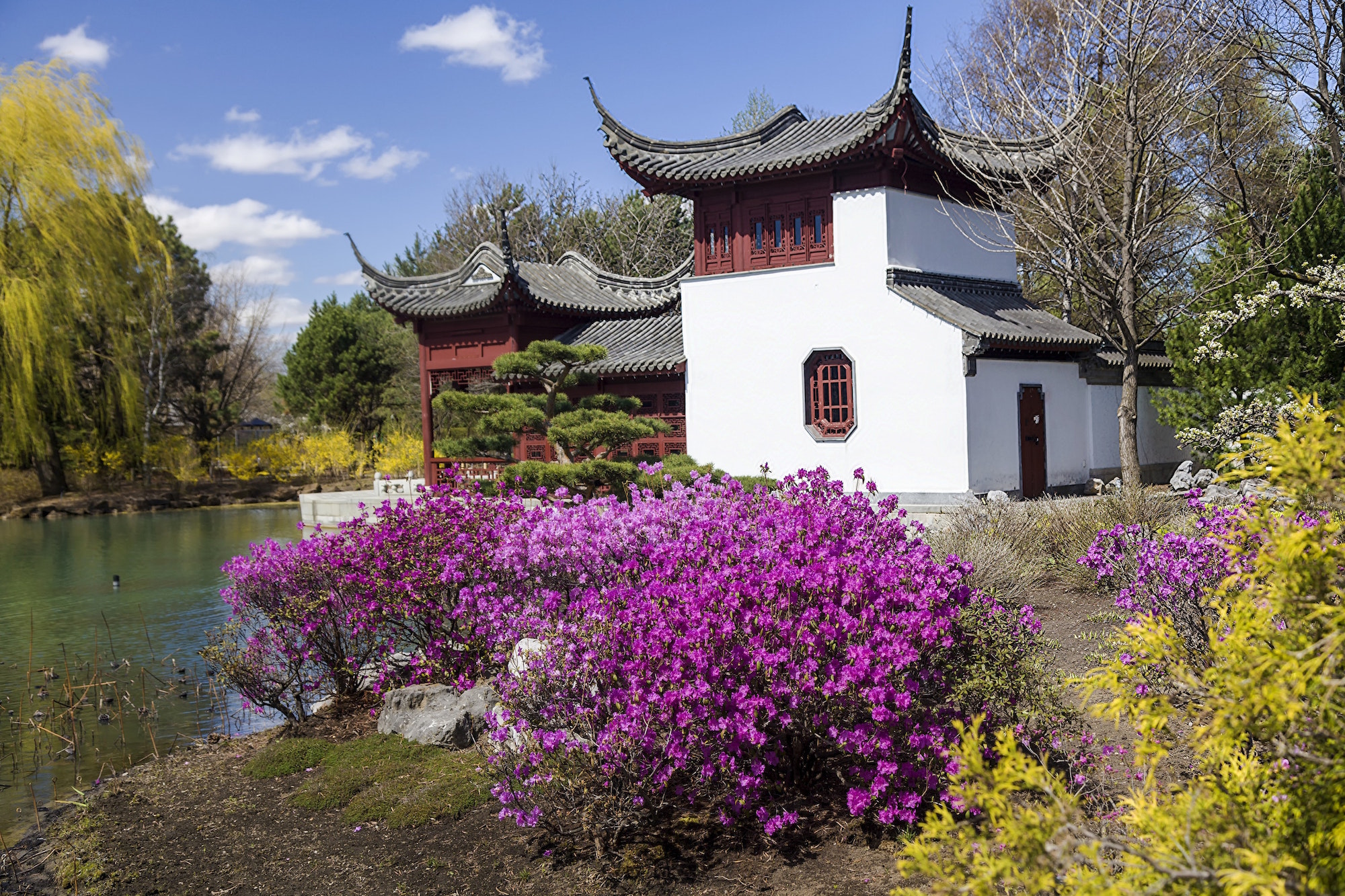 Montreal Botanical Garden