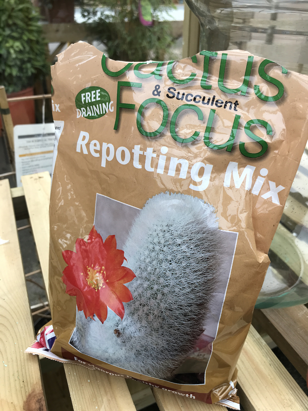 Use cactus and succulent potting mix