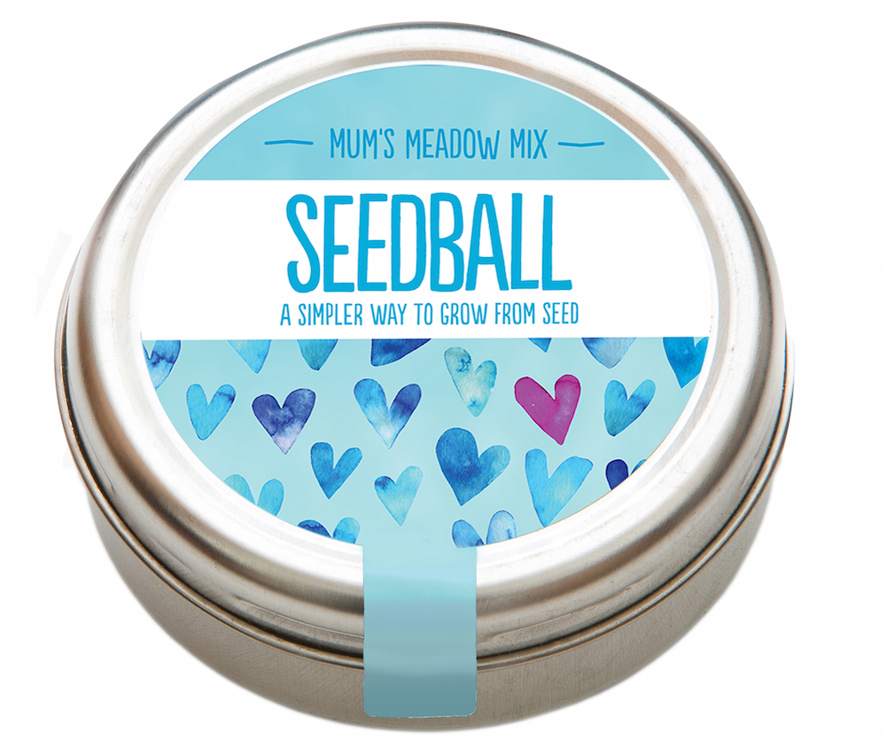 Seedball – Mum’s Meadow Mix