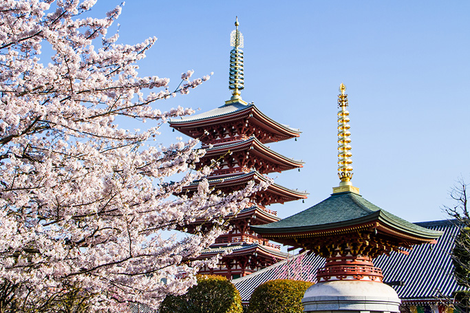 Why Japan Should Be The Next Country You Visit | ewmoda