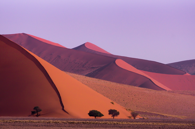 Royal honeymoon in Namibia