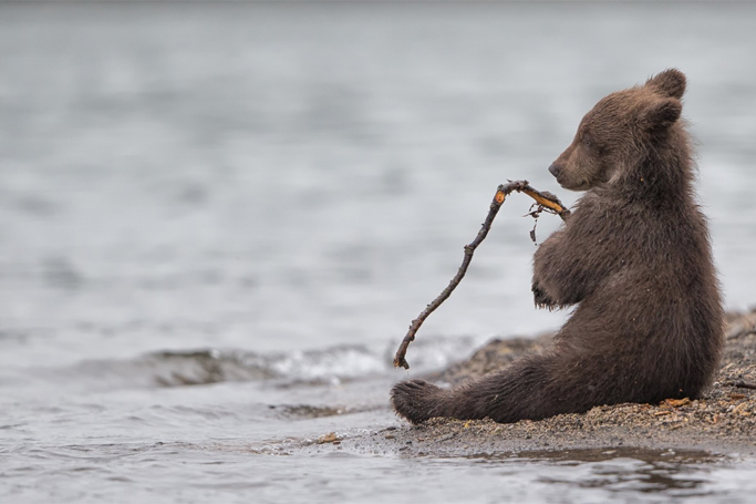 These Are The Most Stunning Photographs Of 2016