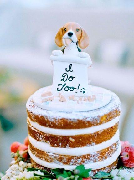 How to include your dog in your wedding How to include your dog in your wedding 4