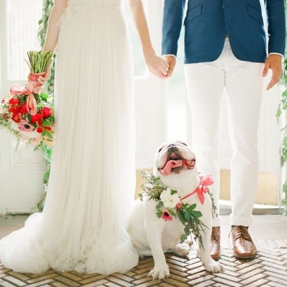 How to include your dog in your wedding How to include your dog in your wedding 13