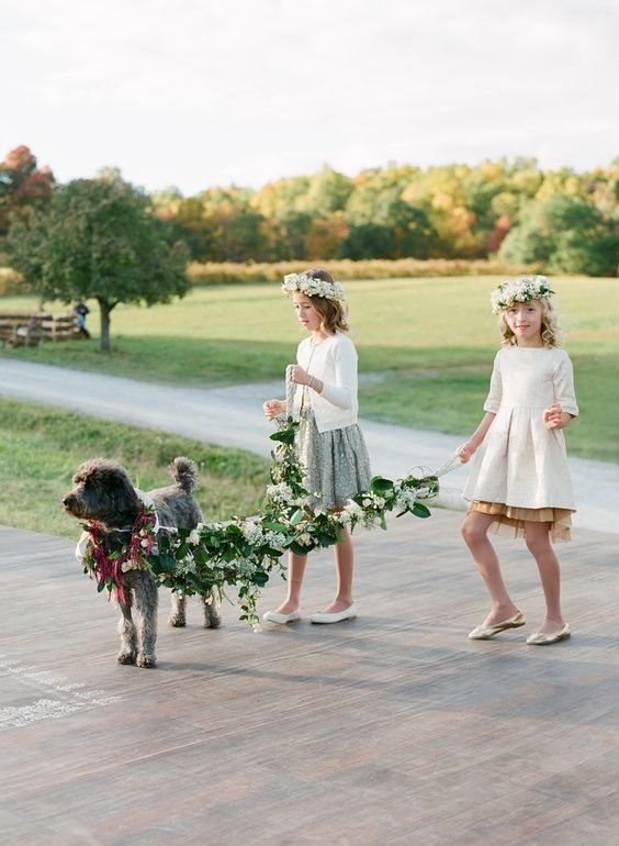 How to include your dog in your wedding How to include your dog in your wedding 10