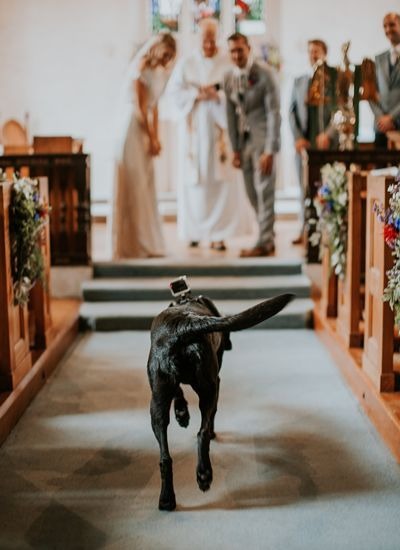 How to include your dog in your wedding How to include your dog in your wedding 9