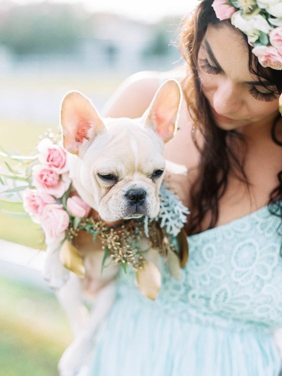 How to include your dog in your wedding How to include your dog in your wedding 3