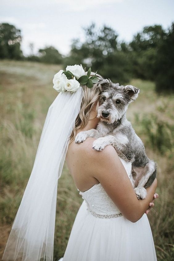 How to include your dog in your wedding How to include your dog in your wedding 16