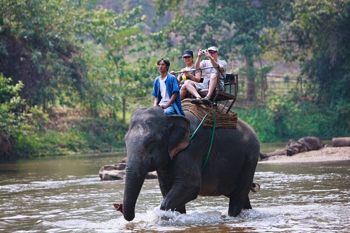 Elephant Trekking