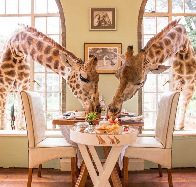 Giraffe Manor (Nairobi, Kenya) Giraffe Manor (Nairobi, Kenya)