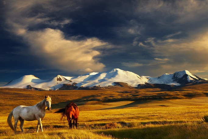 Mongolia Mongolia
