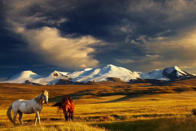 Mongolia