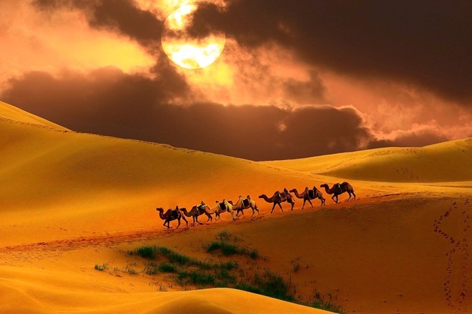 Mongol Sunset Mongol Sunset