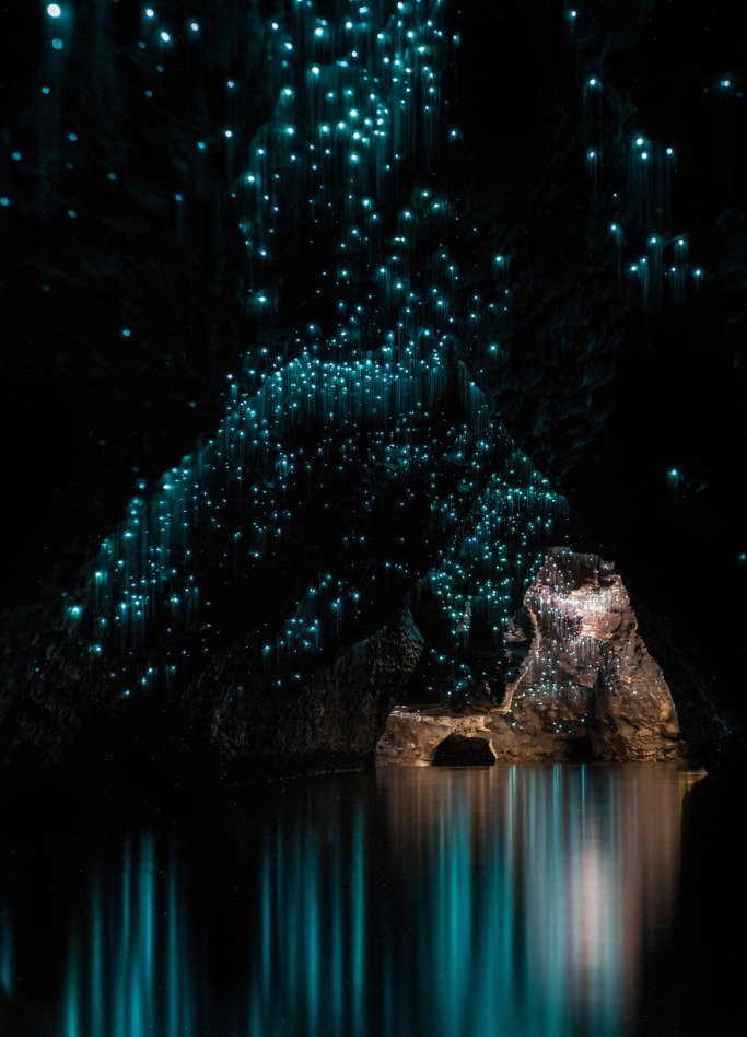 Waitomo Glowworm Cave in New Zealand