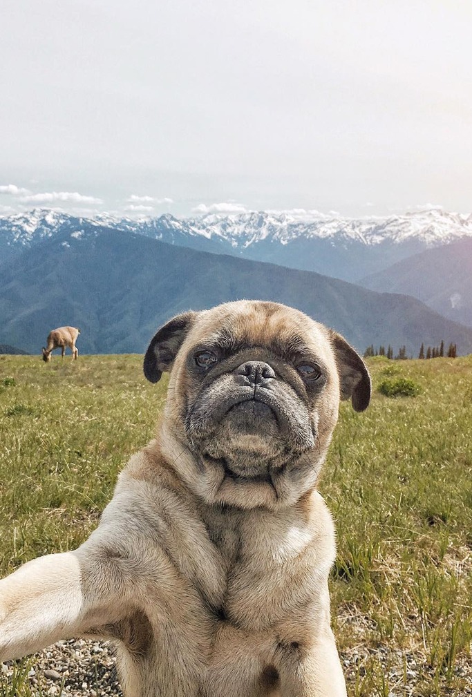 image credit: jermzlee/Instagram image credit: jermzlee/Instagram