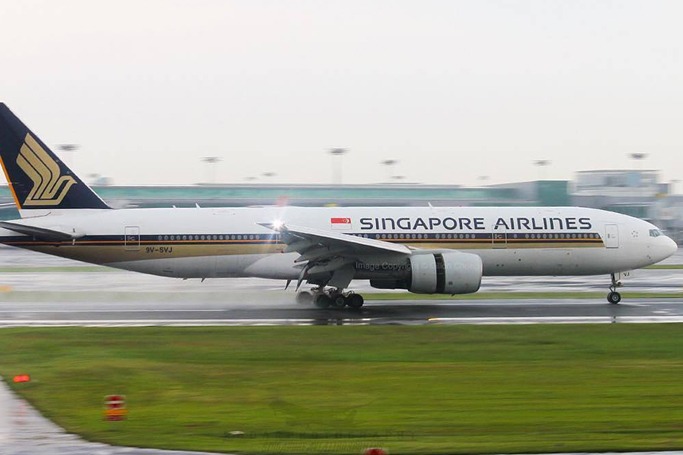image credit: singaporeair/Instagram image credit: singaporeair/Instagram