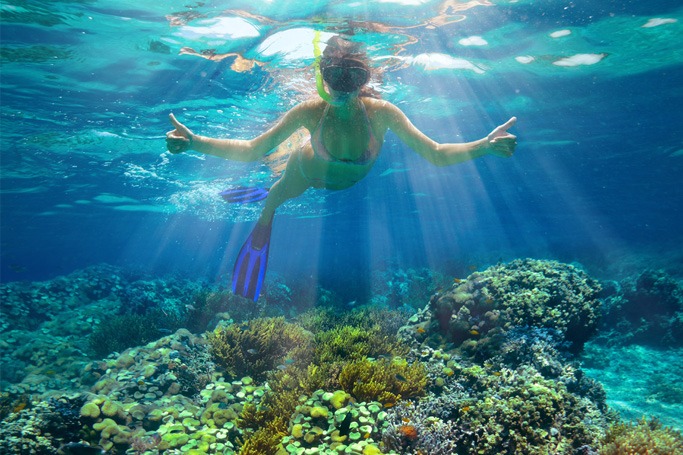 Snorkelling at Koh Tao Island