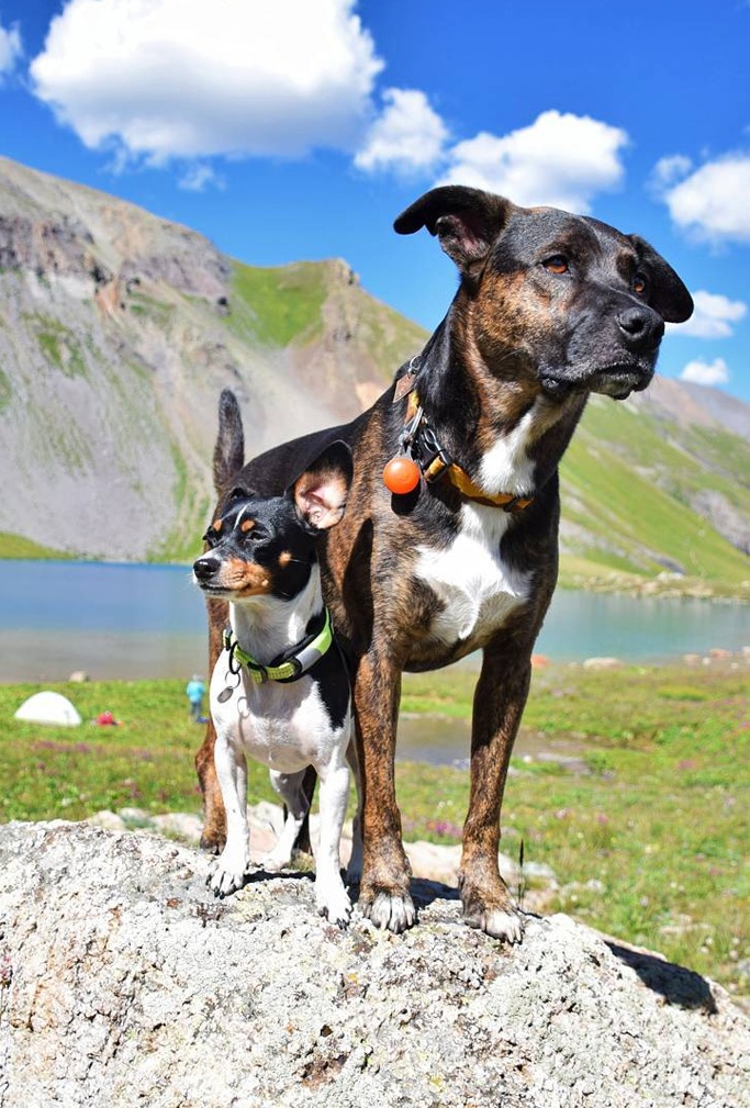 image credit: trustyourtrail/Instagram image credit: trustyourtrail/Instagram