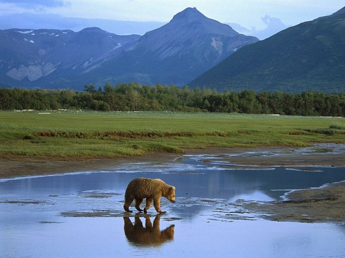 Alaska Alaska