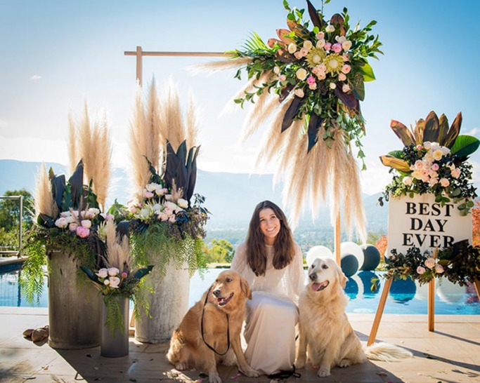 How to include your dog in your wedding How to include your dog in your wedding 1