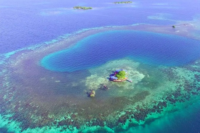 Bird Island Bird Island