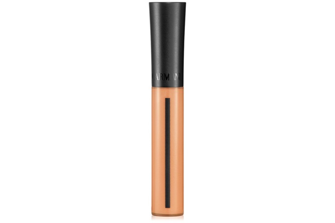 Giorgio Armani - Master Corrector Giorgio Armani - Master Corrector