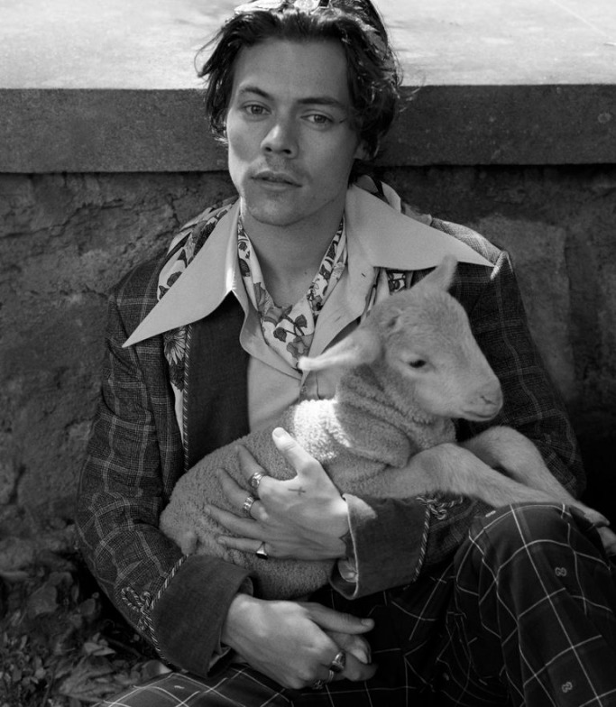 Harry Styles Gucci Campaign 4