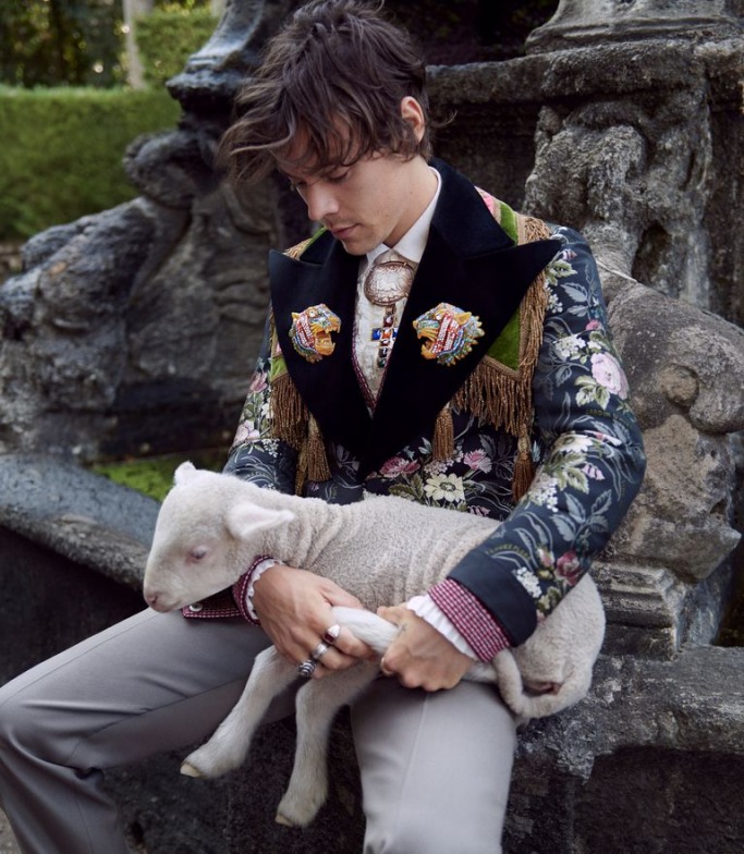 Harry Styles Gucci Campaign Harry Styles Gucci Campaign 1