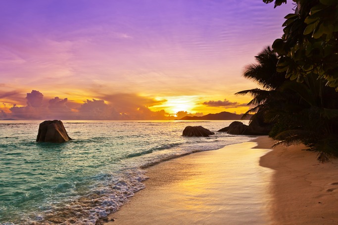 Visit The Seychelles On Your Honeymoon Visit The Seychelles On Your Honeymoon