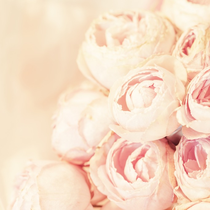 Why You Still Need To Buy Her Flowers Why You Still Need To Buy Her Flowers
