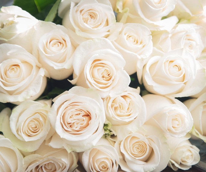 Why You Still Need To Buy Her Flowers Why You Still Need To Buy Her Flowers