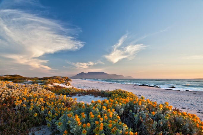 South Africa Popular Destinations For Solo Female Travellers: South Africa