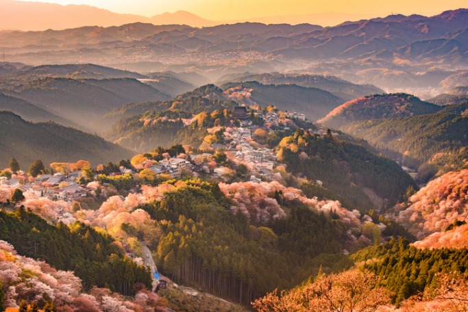 Journey through Japan Unique holidays for 2018