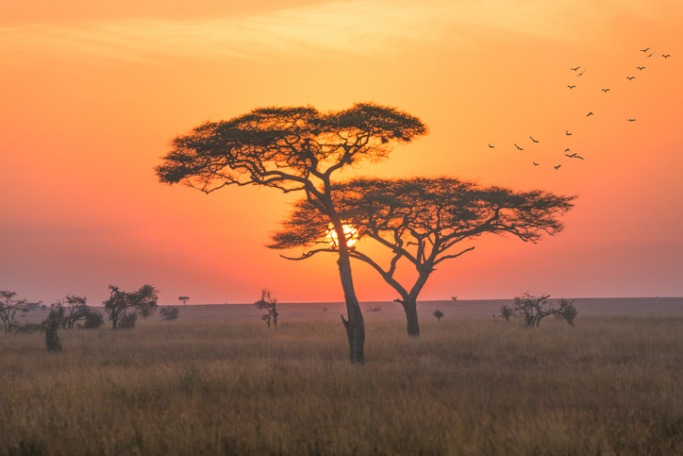 Tanzania Popular Destinations For Solo Female Travellers: Tanzania