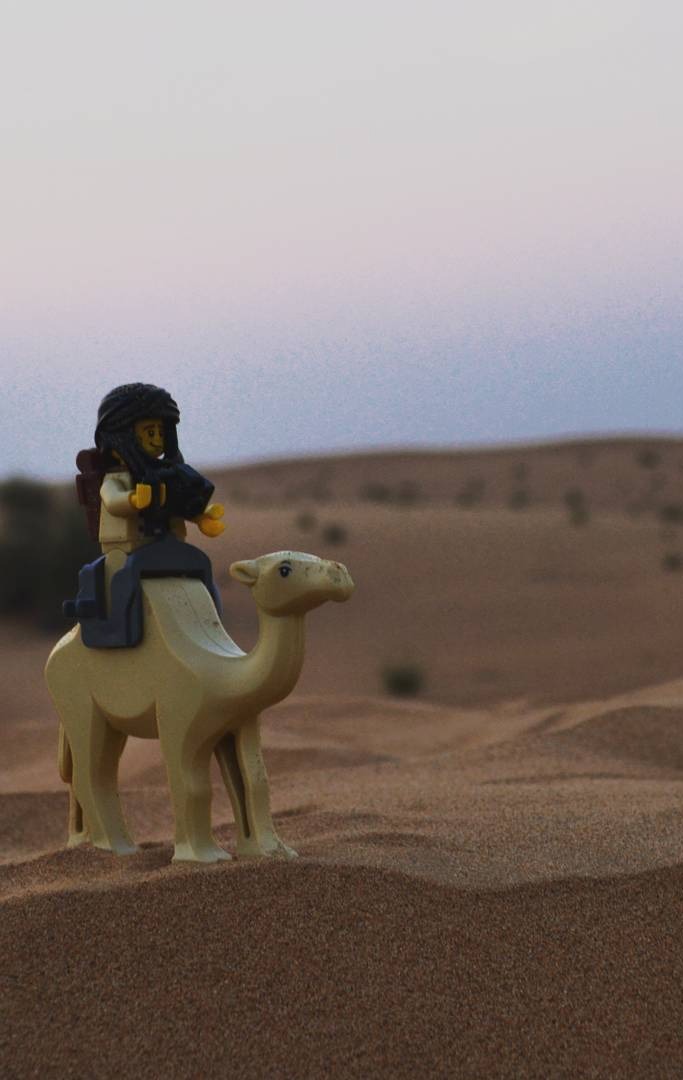 image credit:thelegobackpacker/Instagram Lego Backpacker