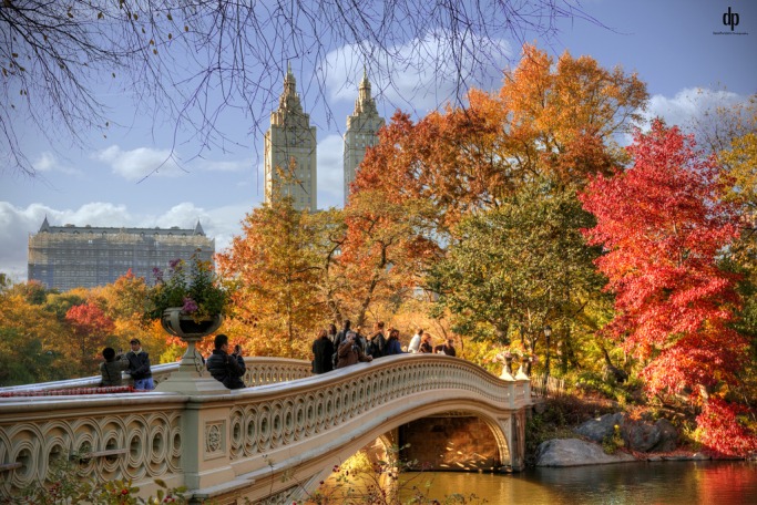 New York New York