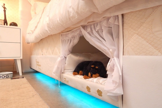 pet bed pet bed