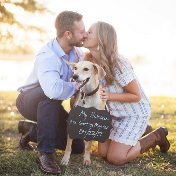 How to include your dog in your wedding 2