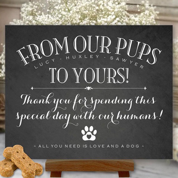 How to include your dog in your wedding 14