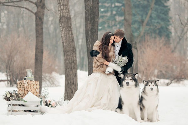 How to include your dog in your wedding 15