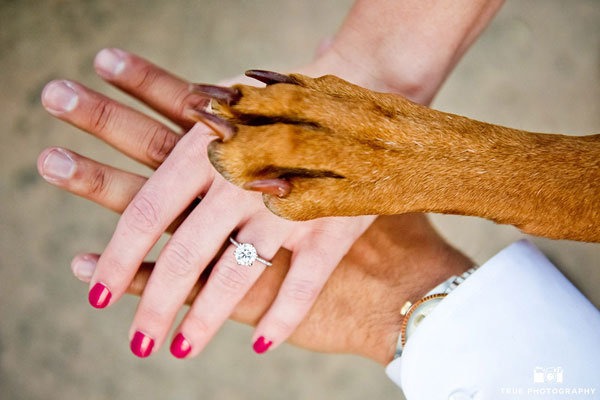 How to include your dog in your wedding 6