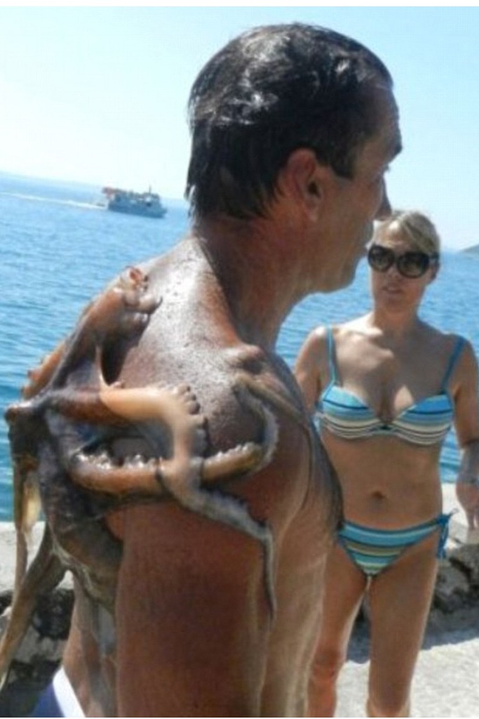 Hilarious Travel Fails Caught On Camera Hilarious Travel Fails Caught On Camera