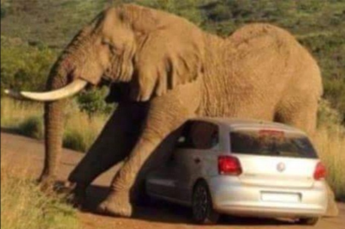 Hilarious Travel Fails Caught On Camera