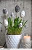 Easter Decorations for the home 