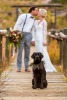 How to include your dog in your wedding 5
