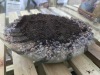Create a circle of potting mix within the grit
