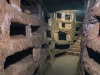 Investigate the catacombs